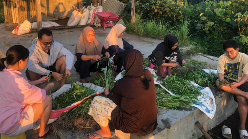 Para kader Posyandu Desa Batukaras, Pangandaran, memetik kangkung dari kebun desa yang mereka olah bersama. (Foto: Dokumentasi Yohanis Baptista Nurmalae dan Yohanes Ario Seto)