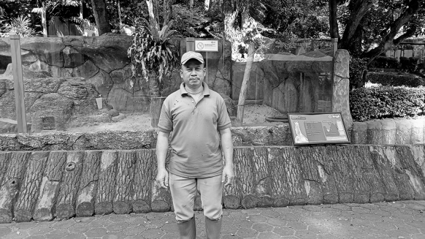 Usup Supriatna, pawang karnivora di Kebun Binatang Bandung, Jumat, 17 Oktober 2025. (Foto: Retna Gemilang/BandungBergerak)