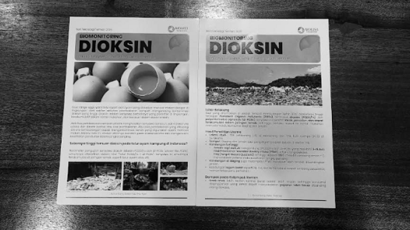 Pembakaran sampah tradsisional maupun dengan teknologi insinerator berpotensi menghasilkan dioksin. (Sumber: Publikasi Seri Teknologi Termal oleh Nexus3 Foundation)