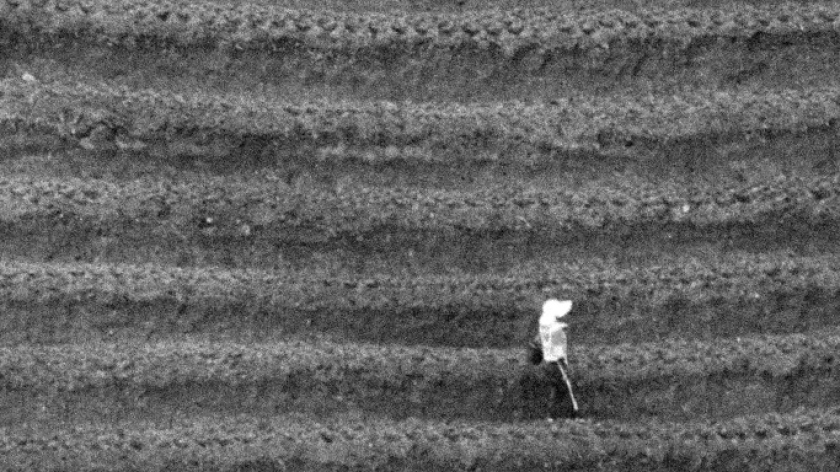 Pertanian di wilayah Cimenyan dengan pendampingan dari Yayasan Odesa, November 2025. (Foto: Insan Radhian/BandungBergerak)