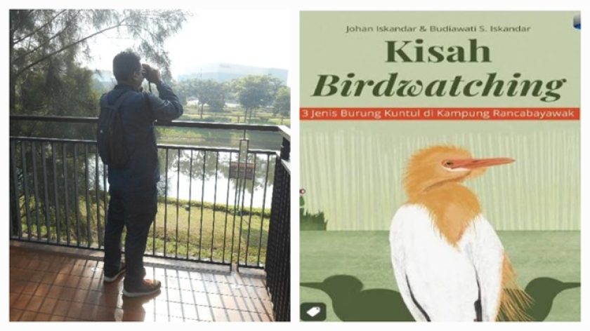 Gambar 1. Seorang pengunjung sedang meneropong burung pinggir danau/kolam retensi Summarecon (kiri), dan buku tentang burung kuntul dan birdwatching (kanan) (Foto: Johan Iskandar)