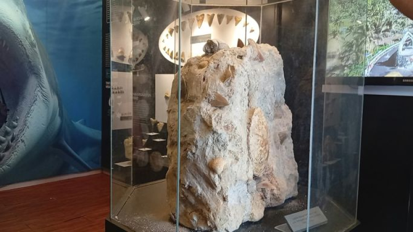 Museum Megalodon di Desa Gunungsungging, Kecamatan Surade, Kabupaten Sukabumi, Jawa Barat, Senin, 28 September 2026. (Foto: Muhammad Akmal/BandungBergerak)
