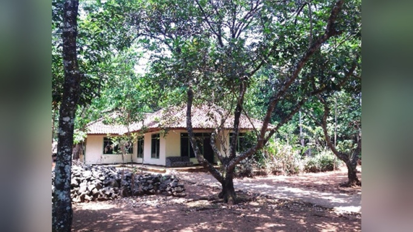 Pohon-pohon rambutan di pekarangan dapat berperan sebagai sumber bahan pangan buah-buahan segar dan berfungsi untuk penyerap karbon untuk mengurangi emisi gas rumah kaca di atmosfer (Foto: Yayan Surayana)