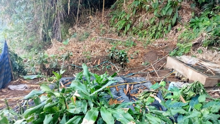 Kolam/bak penampungan di belakang gubuk. (Foto: Ernawatie Sutarna)