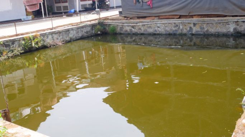 Kolam di Kampung Adat Cikondang, Kabupaten Bandung, Kamis, 15 Oktober 2026. (Foto: Fitri Amanda/BandungBergerak)