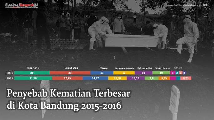 Data 10 Penyebab Kematian Terbesar di Kota Bandung 20152016