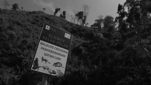 Rambu penanda jalur akses satwa liar di area proyek PLTA Upper Cisokan Pumped Storage di Desa Sukasari, Kecamatan Rongga, Kabupaten Bandung Barat, 15 Agustus 2024. (Foto: Prima Mulia/BandungBergerak)