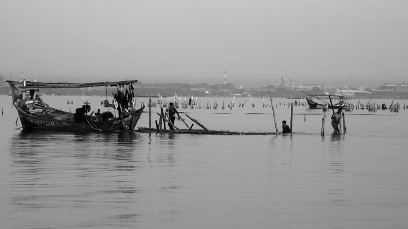 Nelayan gagal panen kerang hijau di bagang yang rusak akibat gelombang laut di lepas pantai Desa Waruduwur, Kecamatan Mundu, Kabupaten Cirebon, 4 Januari 2025. (Foto: Prima Mulia/BandungBergerak)