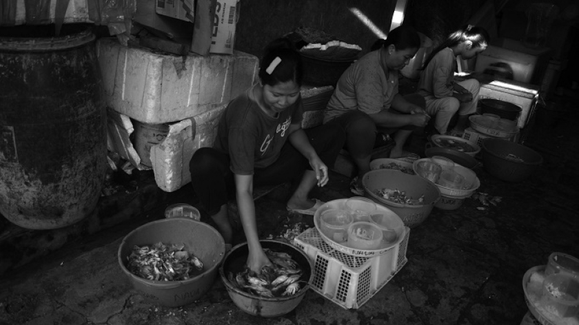 Kaum perempuan mengupas kulit kepiting rajungan yang didatangkan dari Indramayu di Desa Waruduwur, Kecamatan Mundu, Kabupaten Cirebon, 4 Januari 2025. (Foto: Prima Mulia/BandungBergerak)