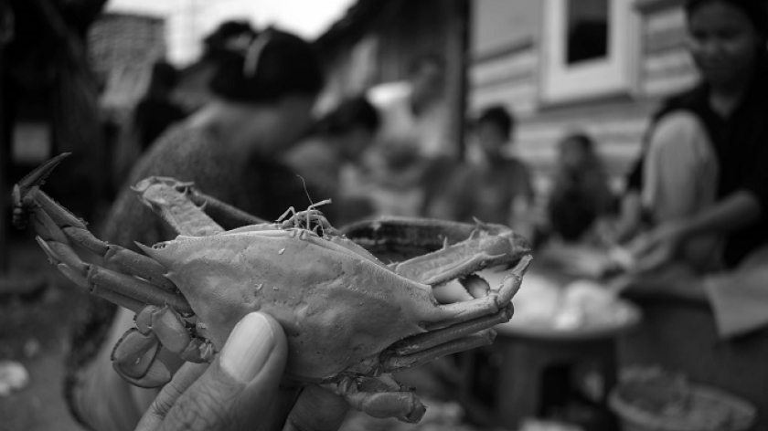 Kaum perempuan mengupas kulit kepiting rajungan dan urus-urus di Desa Waruduwur, Kecamatan Mundu, Kabupaten Cirebon, 3 Januari 2025. (Foto: Prima Mulia/BandungBergerak)