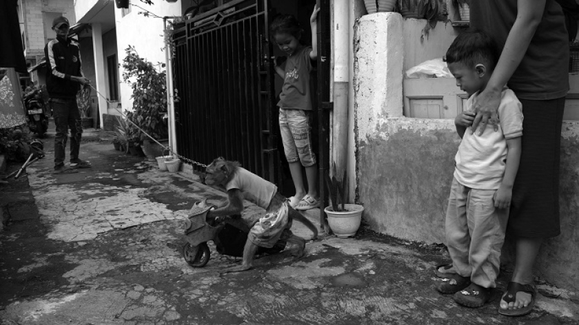 Anak-anak menonton atraksi topeng monyet keliling di permukiman padat penduduk pinggir rel kereta api di Gudang Selatan, Bandung, 21 Januari 2025. (Foto: Prima Mulia/BandungBergerak) 