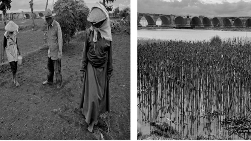 Kiri, Haji Noto bersama rekannya menutupo lubang tanah usai menyemai benih padi. Kanan, petak lahan tak tergarap usai panen jagung sekitar 3 bulan lalu akibat luberan sungai Progo. (Foto: Dwianto Wibowo)  