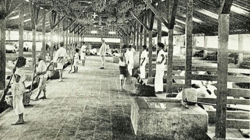 Kandang sapi Baroe Adjak tahun 1933. Kandang-kandangnya dikenal bersih dan di sudut-sudut atapnya terdapat banyak bawang merah untuk mengatasi bau dari kotoran sapi -1933. (Foto Sumber: KITLV) 