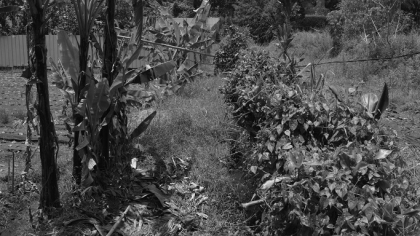 Lokasi jejak macan tutul jawa (Panthera pardus melas) di halaman Hotel Anugerah di Bandung, 6 Oktober 2025. (Foto: Prima Mulia/BandungBergerak)