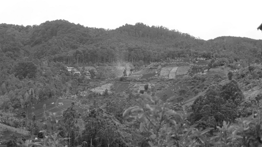 Lahan kebun yang disokong oleh Odesa Indonesia, Cimenyan, Kabupaten Bandung, 8 November 2025. (Foto: Audrey Kayla/BandungBergerak)