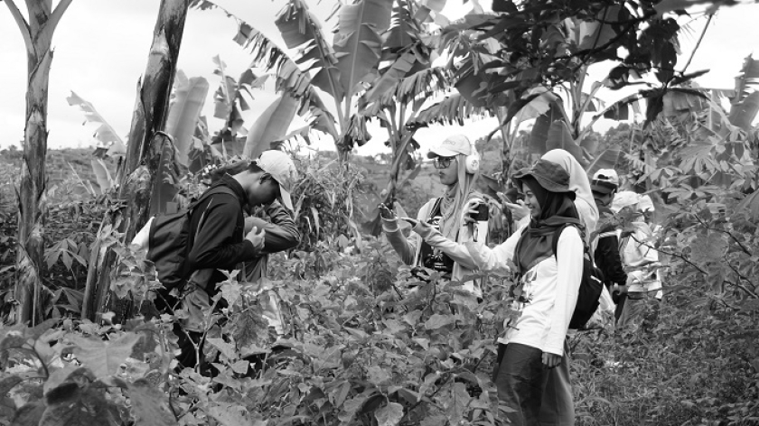 Kegiatan di kebun yang disokong oleh Odesa Indonesia, Cimenyan, Kabupaten Bandung, 8 November 2025. (Foto: Audrey Kayla/BandungBergerak)