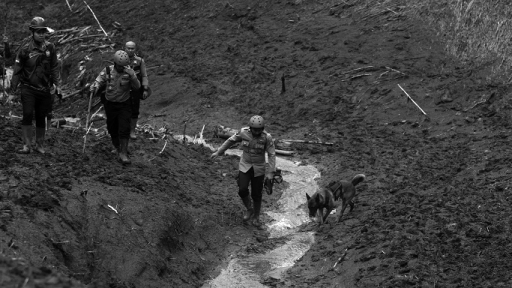 Upaya pencarian korban terseret longsor di Cisarua, Kabupaten Bandung Barat, 26 Mei 2025. (Foto: Prima Mulia/BandungBergerak)