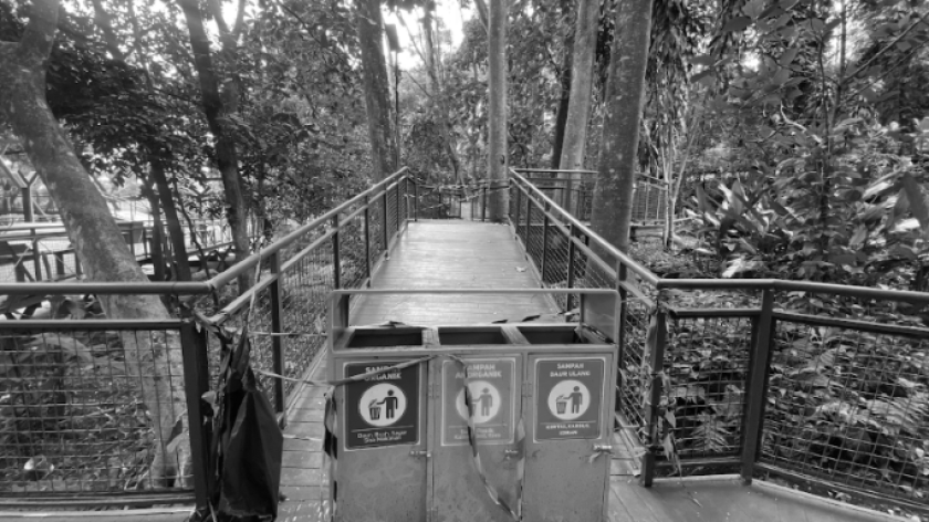 Trek Hutan Kota Babakan Siliwangi, Bandung, Februari 2026. (Foto: Riani Alia/BandungBergerak)  