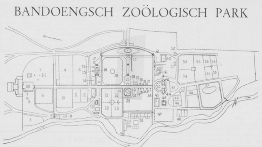 Denah Kebun Binatang Bandung tahun 1937. (Foto Sumber: Mooi Bandoeng Edisi Khusus Kebun Binatang Bandung, 20 Oktober&ndash;20 November 1937)