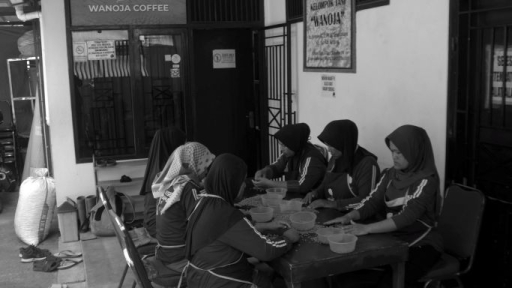 Meja sortir green bean Wanoja Coffee. Biji kopi kering diperiksa dan dipisahkan untuk mendapatkan biji yang memenuhi standar kualitas sebelum diproses lebih lanjut,10 Juni 2026. (Foto: Prima Mulia/BandungBergerak)