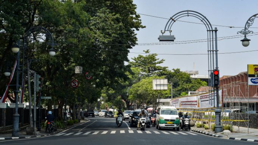 Pepohonan di Jalan RE Martadinata, Agustus 2026. (Foto: Fuzi Syakir/BandungBergerak)