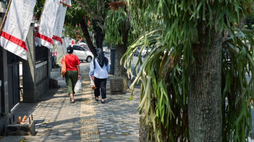 Pepohonan di Jalan RE Martadinata, Agustus 2026. (Foto: Fuzi Syakir/BandungBergerak)