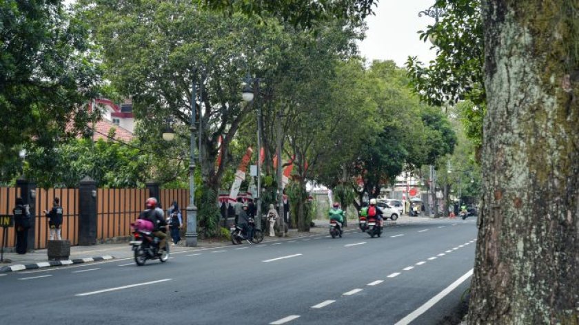 Pepohonan di Jalan RE Martadinata, Agustus 2026. (Foto: Fuzi Syakir/BandungBergerak)