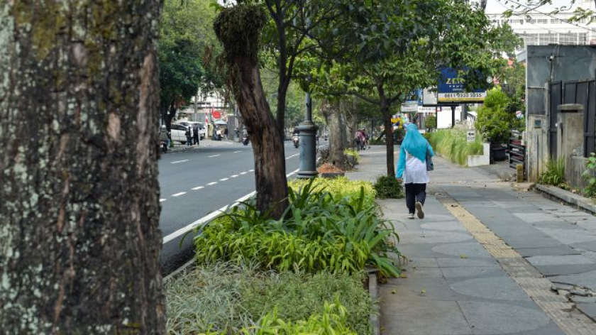 Pepohonan di Jalan RE Martadinata, Agustus 2026. (Foto: Fuzi Syakir/BandungBergerak)