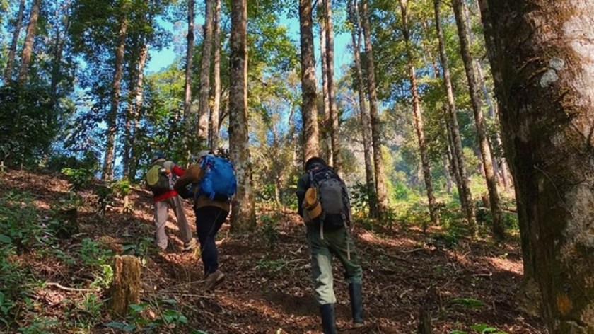 Hutan rasamala. (Foto: Dokumentasi Rinaikelana&ndash;Saba Sualan 3)