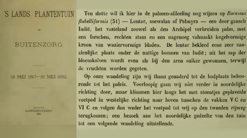 Buku Melchior Treub, &rsquo;s Lands Plantentuin te Buitenzorg, 18 Mei 1817&ndash;18 Mei 1892, hlm. 138. (Foto: Dokumentasi Rinaikelana)