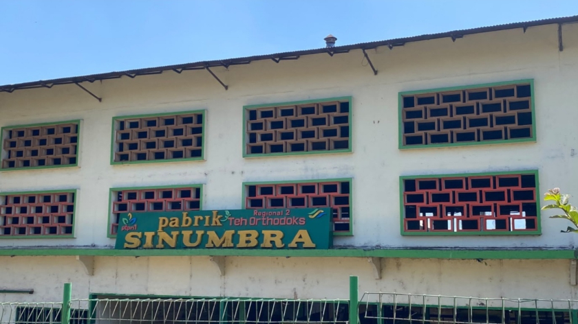 Dinding pabrik teh Sinumbra. (Foto: Dava McCabal)
