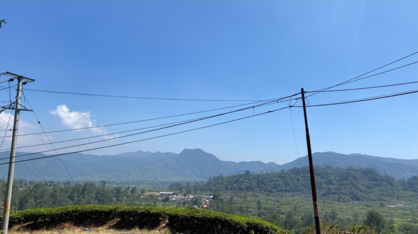 Kampung dan hamparan perkebunan di bawah pegunungan. (Foto: Dava McCabal)