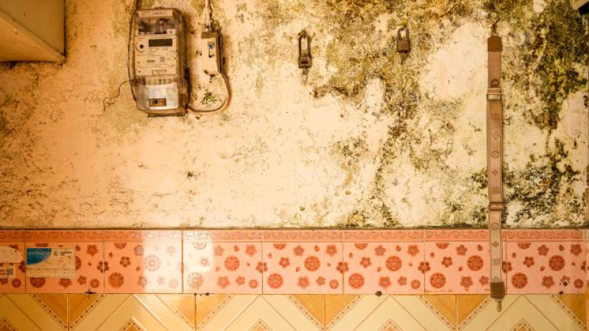 Dinding keramik dan jamur yang tumbuh di rumah Maria.  Leuwi Bandung, Desa Citeureup, Kecamatan Dayeuhkolot.  Jumat, 20 Agustus 2026. (Foto: Alya Chaerani/BandungBergerak)