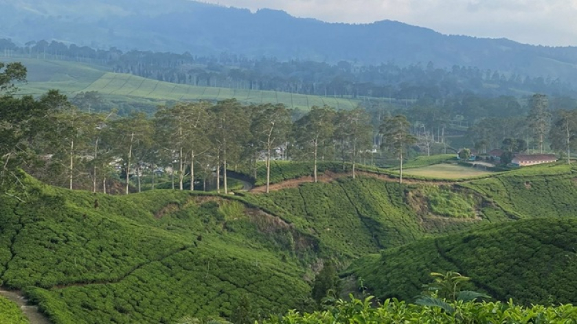 Lanskap Rancabali di Ciwidey, Kabupaten Bandung. (Foto: Dokumentasi Rinaikelana) 