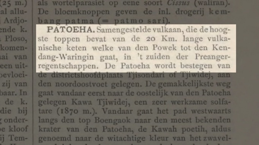 Entri kata PATOEHA dalam Encyclopaedie van Nederlandsch-Indi&euml; jilid 3, Naaktslakken-Soekapoera. (Foto: Dokumentasi Rinaikelana)