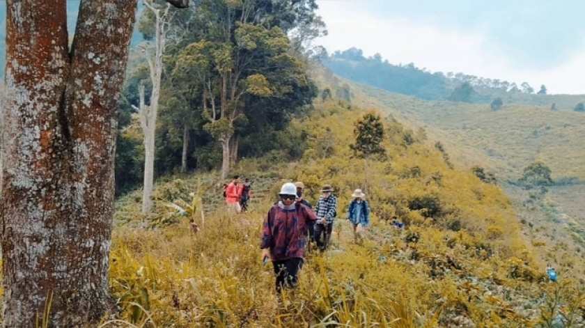 Menyusuri padang alang-alang yang kering, dahulunya merupakan perkebunan kina, September 2020. (Foto: Gan-gan Jatnika)