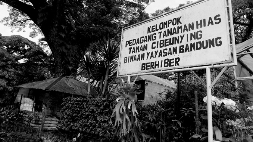 Bursa tanaman hias di Jalan Cibeunying Utara, Kota Bandung, Minggu (2/1/2022). (Foto: Reza Khoerul Iman/BandungBergerak.id)