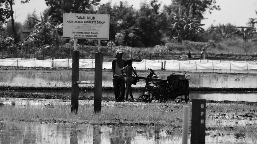 Petani membajak sawah dan menanam padi di musim rendeng di area persawahan Gedebage, Bandung, Rabu (15/12/2021). Kecamatan Gedebage terus kehilangan sawah seiring meningkatnya laju pembangunan properti dan infrastruktur. (Foto: Prima Mulia/BandungBergerak.id)