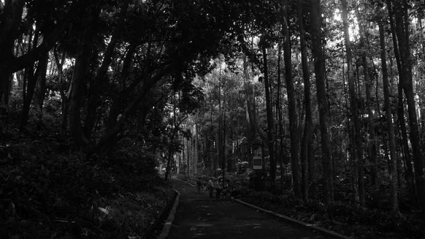 Para pengunjung menikmati suasana Taman Hutan Raya (Tahura) Ir. H. Djuanda, Kamis (13/1/2022). Kawasan hijau yang diresmikan pada 14 Januari 1985 ini memiliki peran strategis dalam menjaga kelestarian ekologis kawasan Bandung utara. (Foto: Prima Mulia/BandungBergerak.id)  