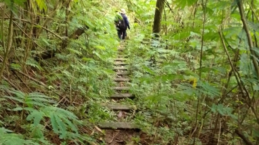 Untuk mencapai puncak Gunung Bukitjarian, kita menyusuri tangga seribu sepanjang separuh perjalanan. Sisa jalurnya berupa setapak yang cukup terjal dan licin di musim hujan. (Foto: Gan Gan Jatnika)