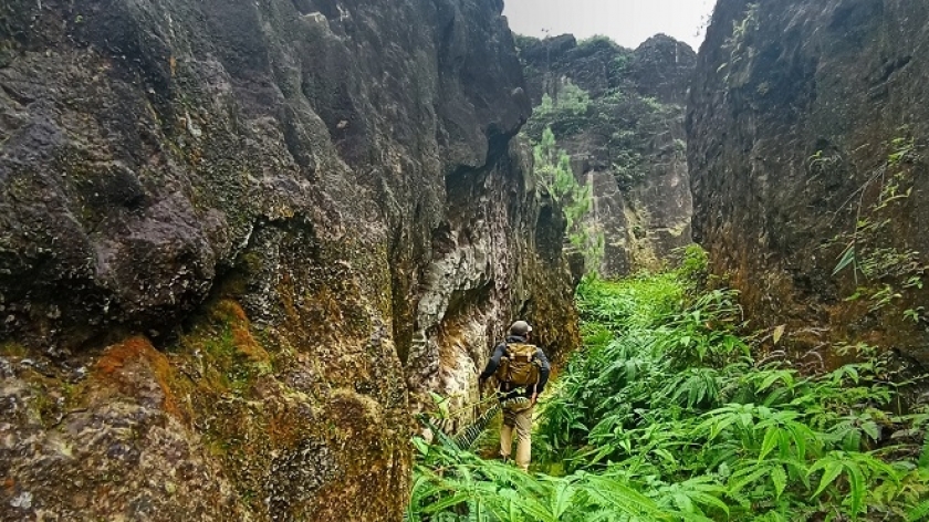 Suasana menawan di Bukit Kendan, berupa tebing- tebing menjulang dengan tumbuhan pakis dan kaliandra tumbuh rimbun di tengahnya, Mei 2022. (Foto: Gan Gan Jatnika)