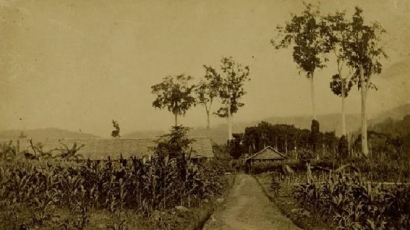 Kampong Djawa te Brangkadollong - Batjan, Noord-Molukken sekitar tahun 1900. (Koleksi KITLV 29089, digitalcollections.universiteitleiden.nl)