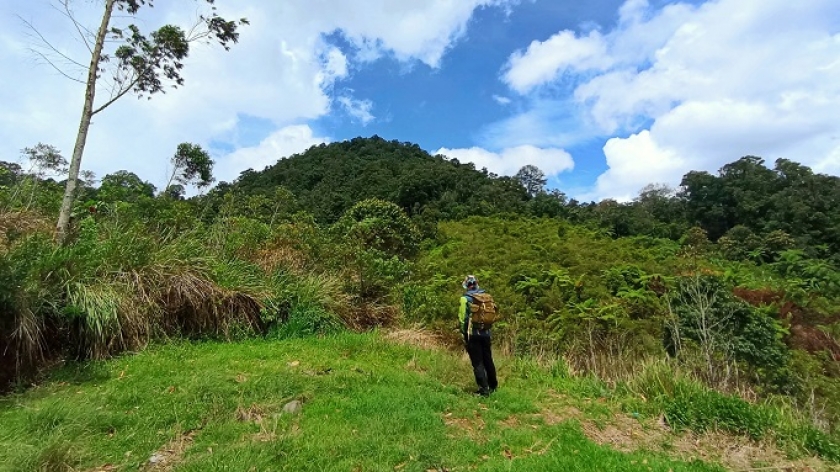 Gunung Sanggara, dengan hutan tropisnya yang masih rimbun sebagai habitat ideal bagi beragam flora dan fauna, dilihat dari arah barat, November 2022. (Foto: Gan Gan Jatnika)