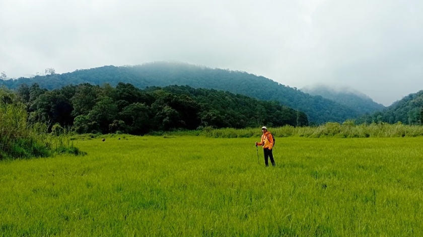 Sisi selatan  <a target='_BLANK' href='//bandungbergerak.id/article/topic/6452/Gunung-Puncak-2020'>Gunung Puncak 2020</a>  dilihat dari Savana Ranca Upas, Ciwidey, Kabupaten Bandung, Februari 2023. Puncak gunung ini berupa area terbuka. (Foto: Gan Gan Jatnika)