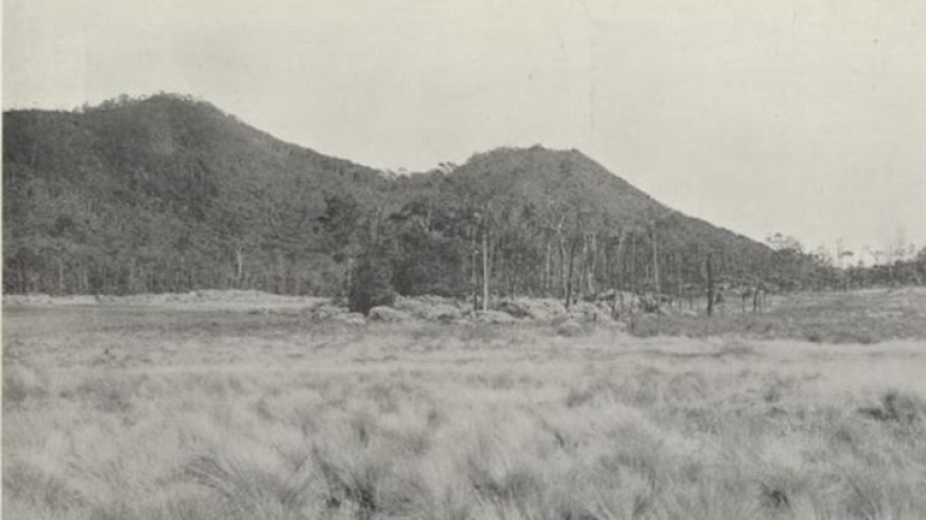 Tegal Aloen Aloen, G. Papandajan. Ketinggian ± 2500 m. Dataran rerumputan Festuca nubigena, di belakangnya di tengah hutan setengah terbakar dengan semak Edelweiss Jawa (Anaphalis javanica). (Ilustrasi Tijdschrift van het Aardrijkskundig Genootschap, 1935, 01-01-1935, Sumber Delpher.nl)