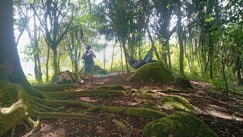 Suasana di puncak Gunung Selasih yang memungkinkan para pendaki beristirahat dengan mendirikan tenda atau bersantai di hammock, Juni 2023. (Foto: Gan Gan Jatnika)