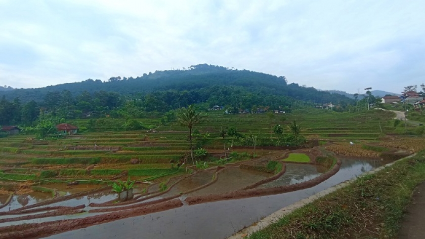 The northwest side of Mount Selasih, seen from Cilodong Road, Pasir Tumenggung, Pacet District, Bandung Regency, June 17, 2023. (Photo: Gan Gan Jatnika)