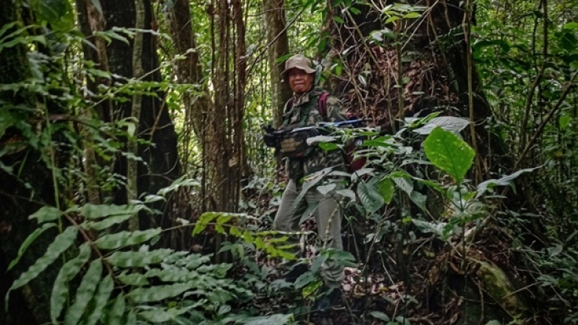 Mount Sanggara, with its lush tropical forest, still serves as an ideal habitat for various flora and fauna, as seen from the west in November 2022. (Photo: Gan Gan Jatnika)