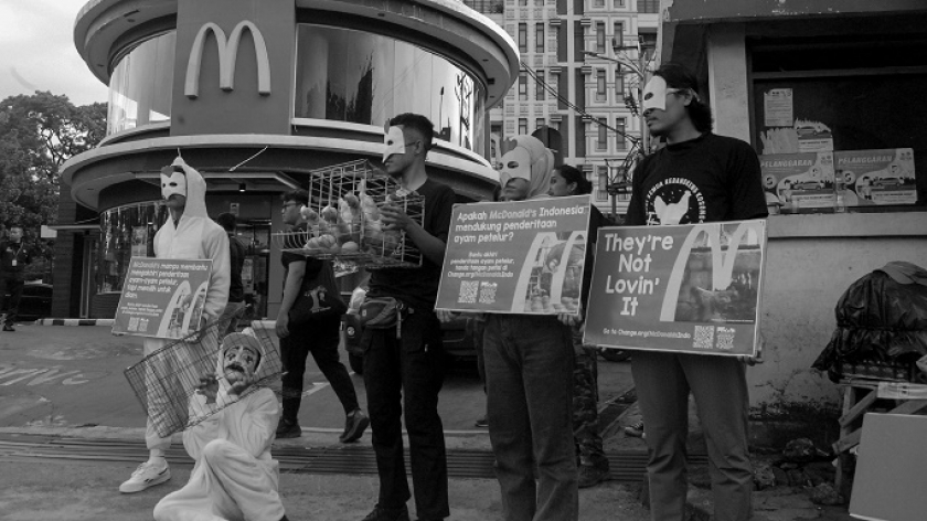 Aksi para aktivis dari Animal Friends Jogja (AFJ) di depan resto cepat saji McDonalds Simpang Dago, Bandung, Kamis, 25 Januari 2024. (Foto: Hizqil Fadl Rohman/BandungBergerak.id)