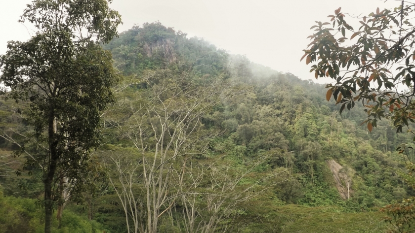 Singkapan batuan  membentuk dinding tegak lurus terlihat di sisi selatan puncak dan lereng Gunung Batu Ciwidey, Desember 2023. (Foto: Gan Gan Jatnika)